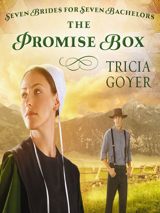 Title details for The Promise Box by Tricia Goyer - Wait list